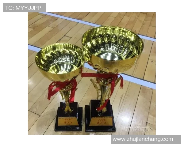 重庆羽毛球队在奥运会积分榜中以94分稳居第一名引发关注