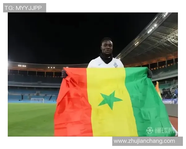 足球明星桑戈尔的传奇旅程与对未来的展望