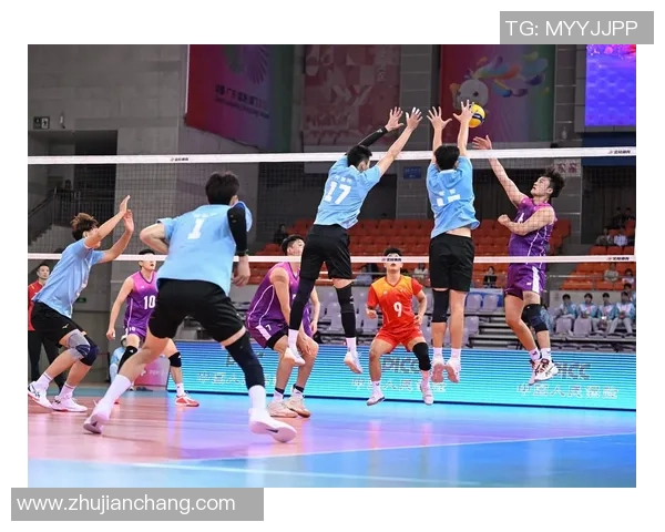 深圳排球队的崛起与挑战分析聚焦排球运动的力量与未来发展