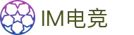 IM(股份有限公司)电竞-电子竞技平台