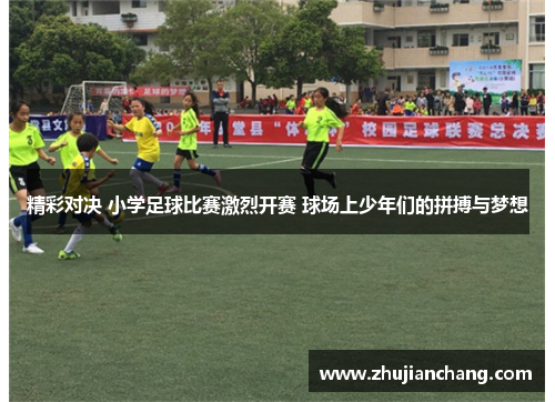 精彩对决 小学足球比赛激烈开赛 球场上少年们的拼搏与梦想